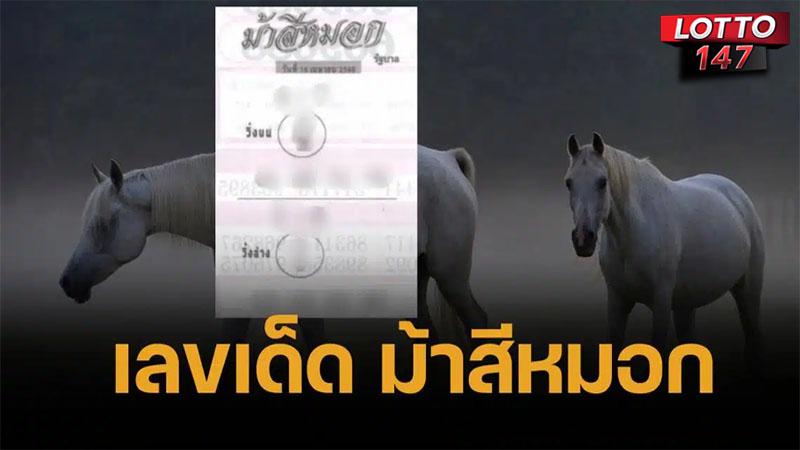 เลขเด็ด ม้าสีหมอก