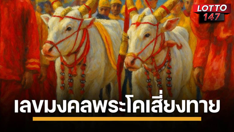 เลขเด็ดพระโคเสี่ยงทาย