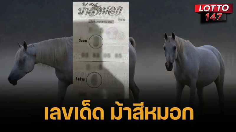 เลขเด็ดม้าสีหมอก16-5-68