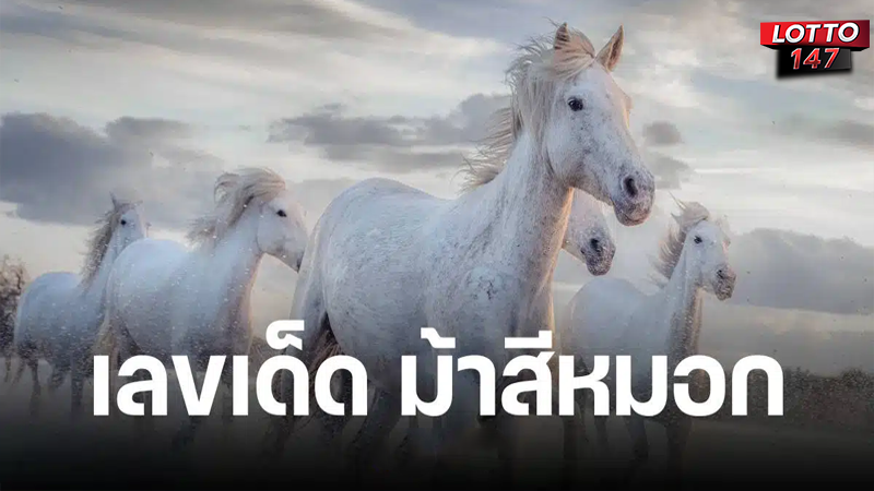 หวยม้าสีหมอกมาแล้ว