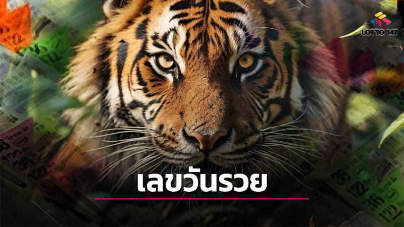 หวยเสือตกถัง