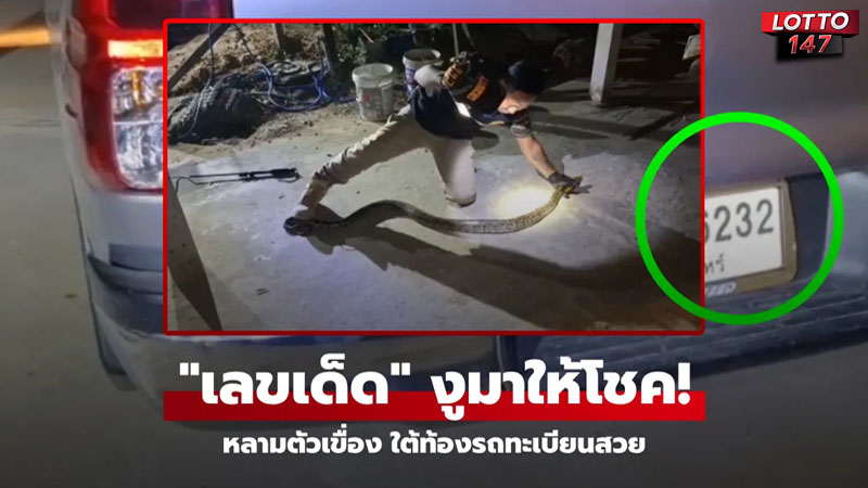 งูหลามตัวใหญ่