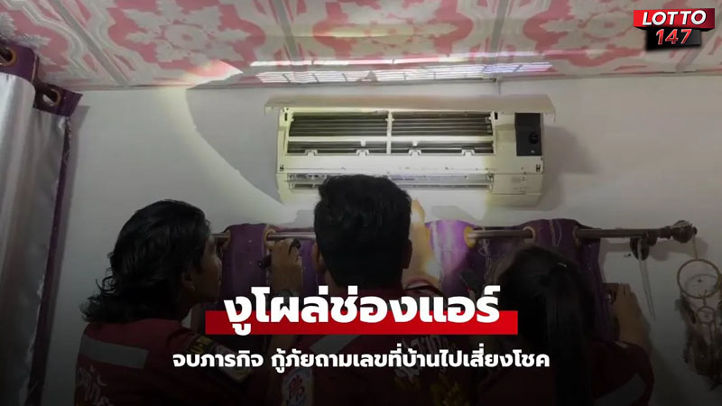 งูโผล่ช่องแอร์