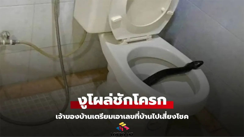 งูโผล่ชักโครก