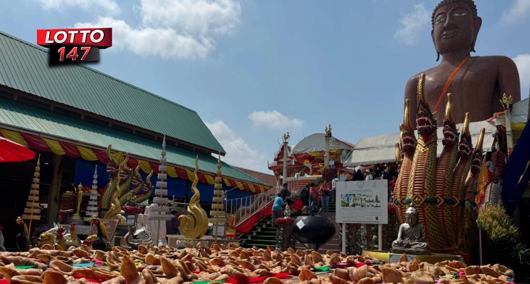 พ.ต.ท.หญิง ถวายหัวหมู 99 หัว แก้บน “หลวงพ่อสมหวัง”