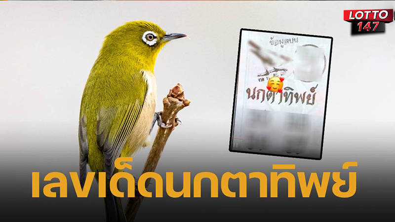 นกตาทิพย์ 16/04/68