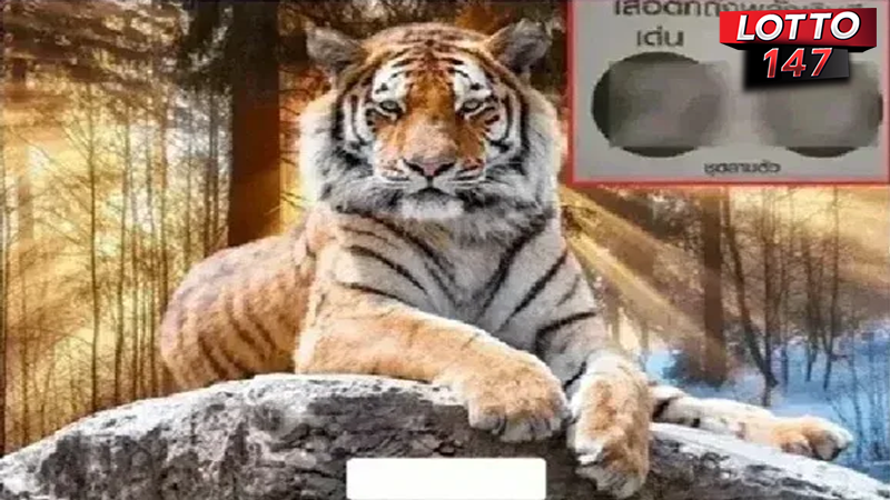 เลขเด็ดเสือตกถัง 01/07/68