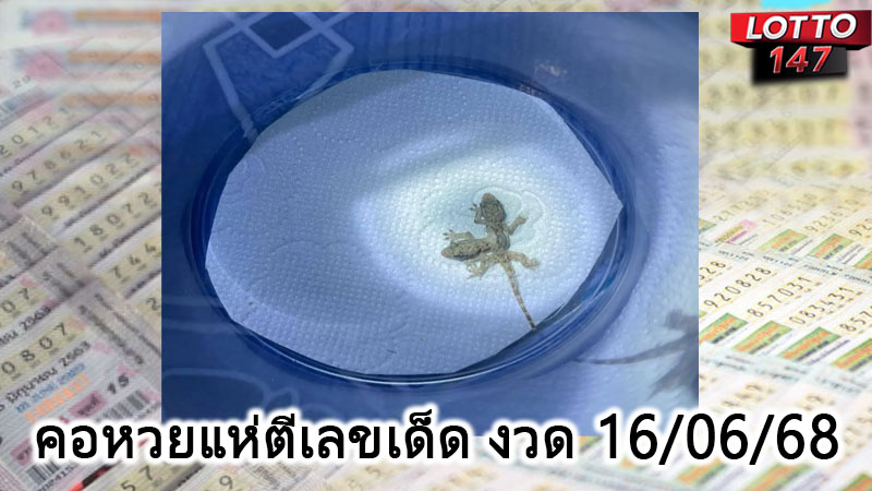 คอหวยแห่ตีเลขเด็ด