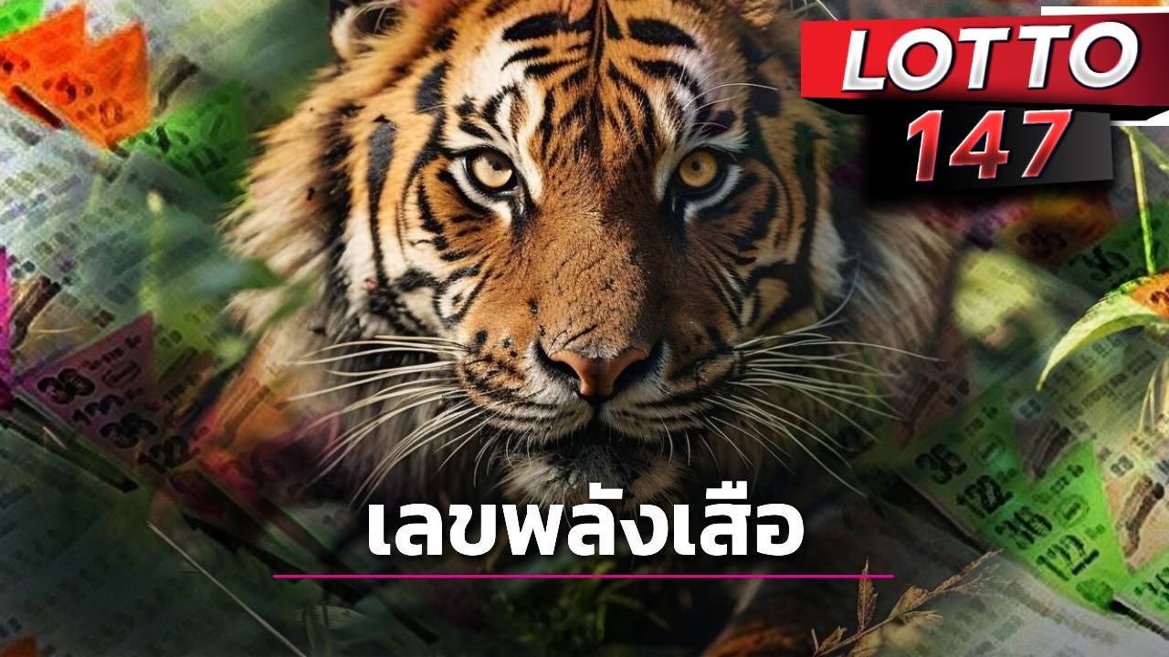 เสือตกถัง พลังเงินดี แนวทางเลขเด็ดงวด 1/08/68