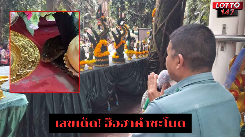 ฮือฮาคำชะโนด