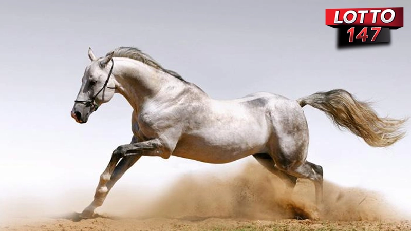 เลขเด็ด ม้าสีหมอก