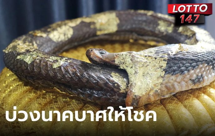 แก้บน "บ่วงนาคบาศ" ให้โชคหลายงวด มีคนถูกรวยเป็นล้าน