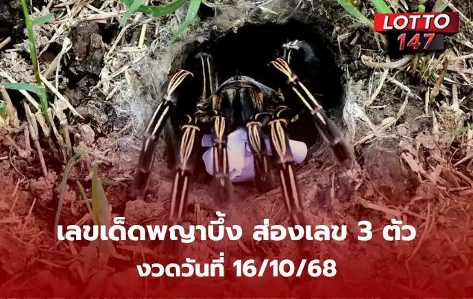 เลขเด็ดพญาบึ้ง 16/10/68