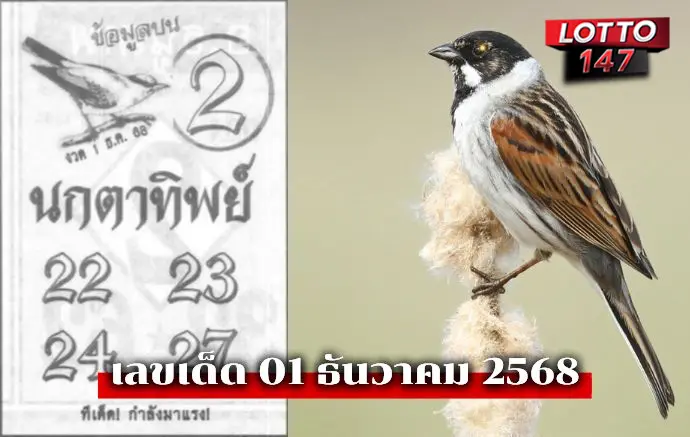 เลขเด็ดนกตาทิพย์