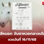 เลขเด็ดม้าสีหมอก 16/11/68