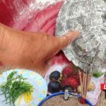 เต่าเดินเข้าบ้านเชื่อมาให้โชค ชาวบ้านแห่ส่องเลขเด็ด