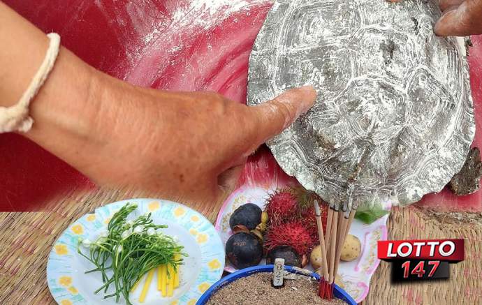 เต่าเดินเข้าบ้านเชื่อมาให้โชค ชาวบ้านแห่ส่องเลขเด็ด