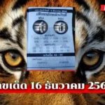 เสือตกถังพลังเงินดี16/12/68