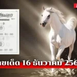 เลขเด็ดม้าสีหมอก16/12/68