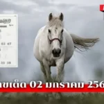 เลขเด็ดม้าสีหมอก02/01/69