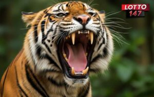 หวยเสือตกถังพลังเงินดี01-02-69