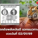 เลขเด็ดเสือตกถังพลังเงินดี 02/01/69