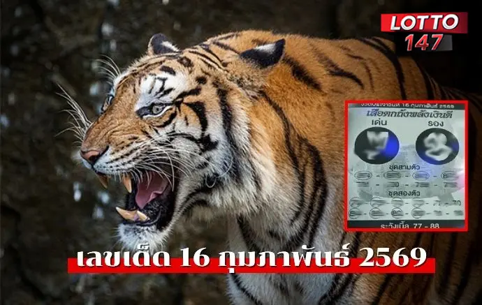 เลขเด็ดเสือตกถังพลังเงินดี16/02/69