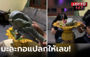 ฮือฮา มะละกออวบใหญ่ มีหัว-แขนคล้าย01/03/69