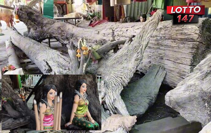 เลขเด็ดเจ้าแม่ตะเคียน วัดท่าโขลง16/02/69