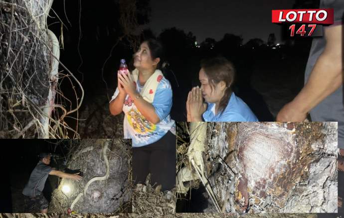 จุดธูปขอส่อง "สะเดาร้อยปี" 16-02-69