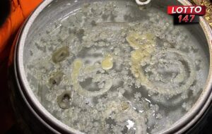 แห่ส่องเลขขันน้ำมนต์ ท้าวเวสสุวรรณพญาเศรษฐี